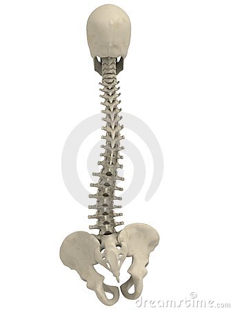 What is Scoliosis?