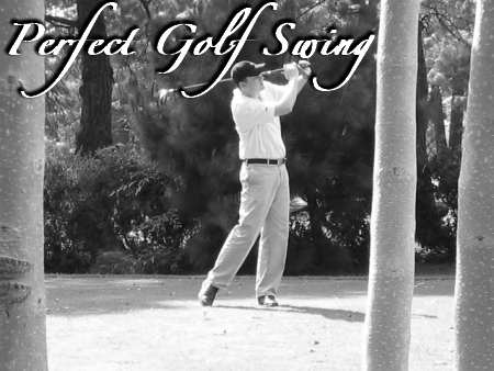 The Perfect Golf Swing